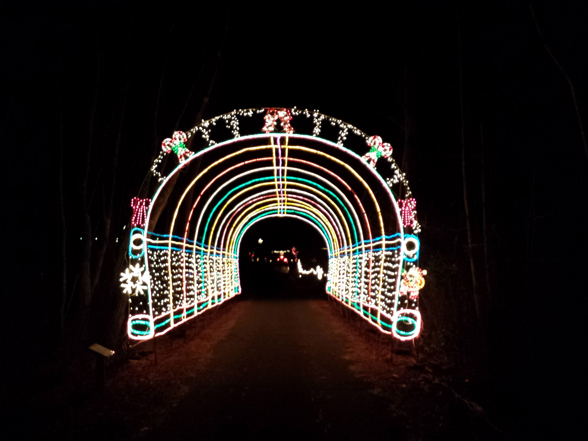 A Trip Through Beautiful Displays and Holiday at the Girl