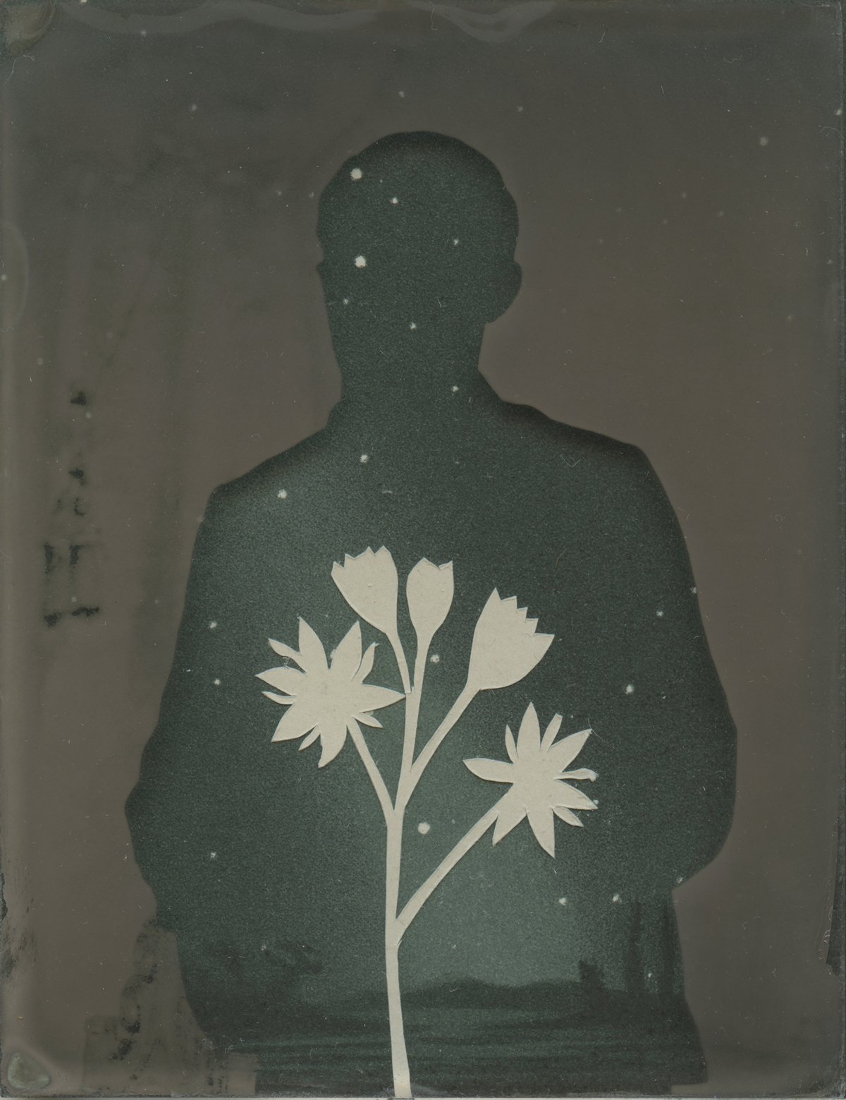 Juried Photography Exhibition At Mills Pond House Gallery