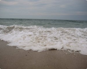 Robert Moses State Park Gets $23 Million to Strengthen Shores, Restore Beaches, and Improve Roads