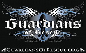 Guardians of Rescue Takes Action Against Fake Shelters