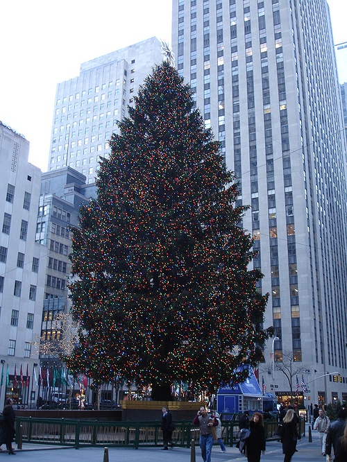 The 2014 Rockefeller Christmas Tree Lighting: Brightening Up NYC for the Holiday Season ...