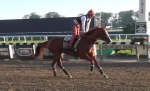 California Chrome Gets Added Advantage Before Belmont Stakes