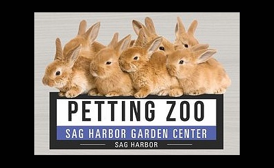 Sag Harbor's Easter Weekend 2024 Petting Zoo