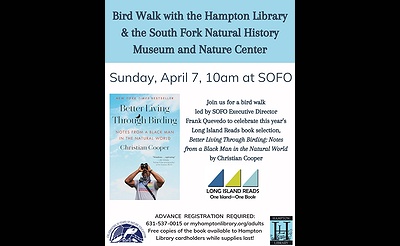 Bird Walk with the Hampton Library & the South Fork Natural History Museum