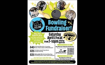 Fabulous Feline Rescue Bowling Fundraiser