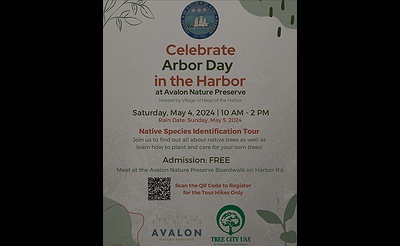 Arbor Day in the Harbor !
