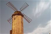 Oakdale Windmill