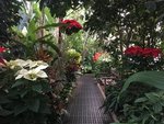2017 Holiday Season at Planting Fields Arboretum's Coe Hall