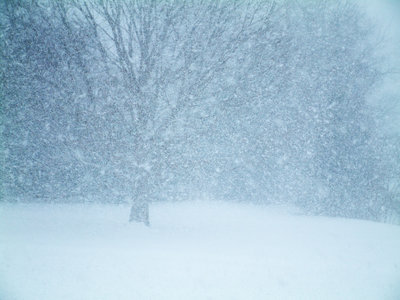 Image result for pictures of a blizzard storm