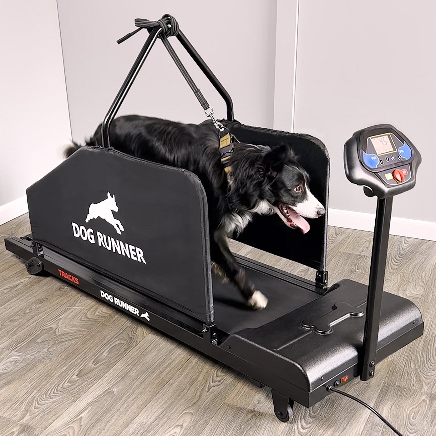 Dog Runner Tracks Treadmill, K9 Exercise