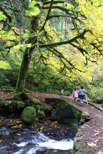 Thursday s Top 10 Fall Foliage Hiking Spots LongIsland
