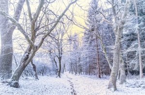 Snowfall Totals for Friday’s Blizzard on Long Island | LongIsland.com