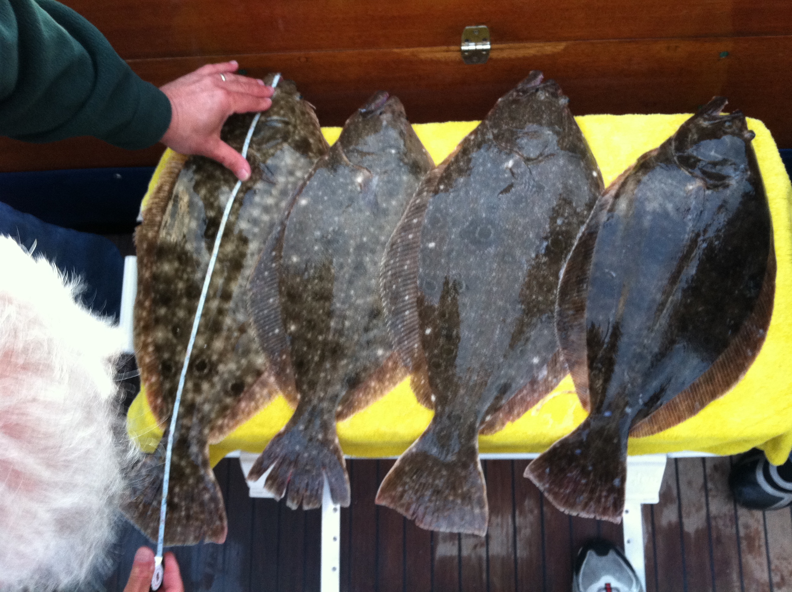 Cuomo: Change to Fluke Fishing Quota Gives New York Angler’s a Fair 
