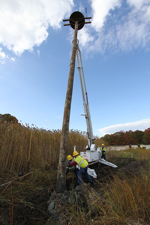 pseg-long-island-restores-storm-damaged-osprey-nesting-station