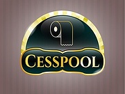 CDM Cesspool Service