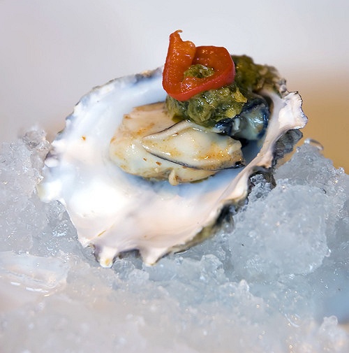 The Oyster Festival