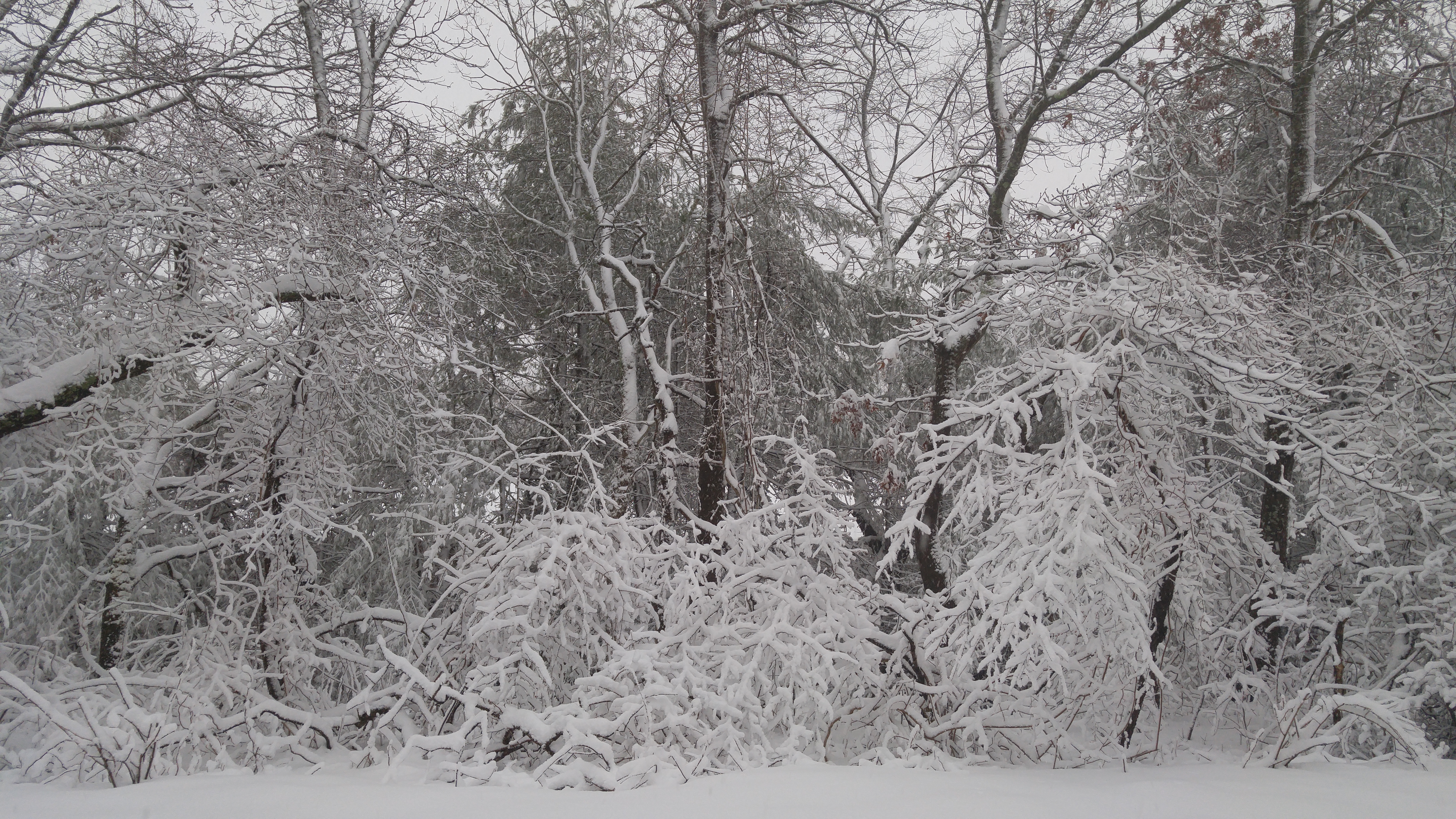 Long Island School Closures for Friday, February 5th, 2016 | LongIsland.com