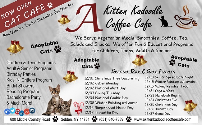 A Kitten Kadoodle Coffee Cafe  Selden  NY 